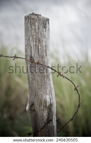 Lone fence post with rusted barbed wire falling off.