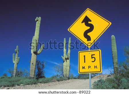 Cactus Caution...a humorous location for a caution sign amongst the saguaro cactus.