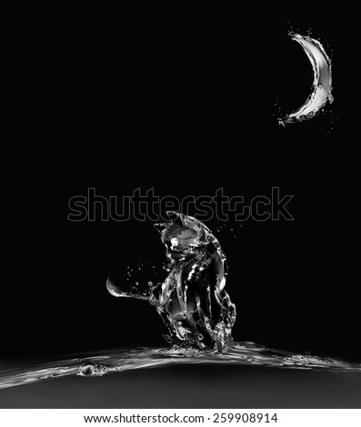 A cat made of water sitting on water in moonlight.