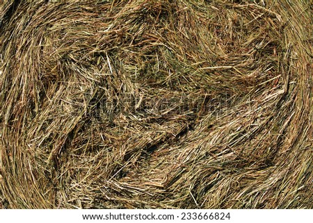 Hay background, side view, great for a farm company card design.