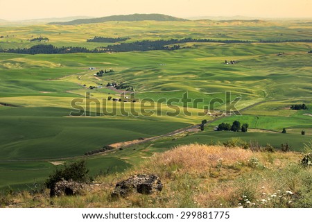 View of Steptoe Butte, Palouse Country in eastern Washington