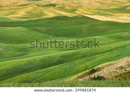 View of Steptoe Butte, Palouse Country in eastern Washington