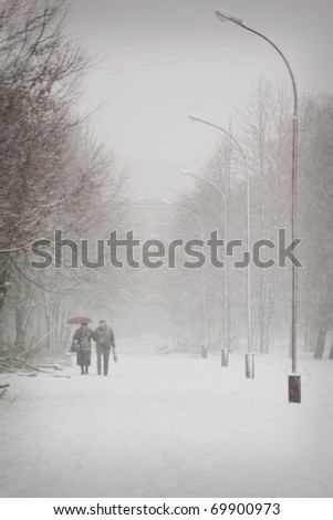 Senior couple walking in the park in the winter