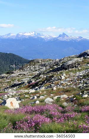 Castle Towers And Black Tusk Viewed From Brandywine Meadows (Coast Mountains, British Columbia, Canada)