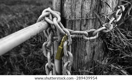 Chained Gate in Black and White with a Gold Padlock