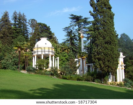 Sochi 2008. A botanical garden with different kinds of trees and bushes. Russia, Sochi
