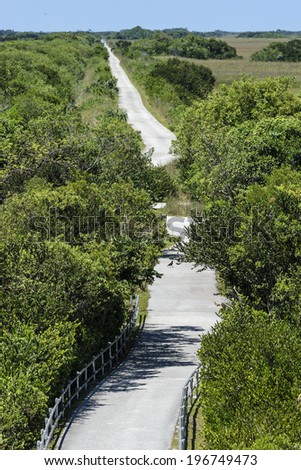 Long Road, Everglades National Park, Florida, United states. Shark Valley