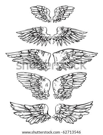 Eagle Wings Drawing on United In 5 Pairs Of Wings Stock Vector 62713546   Shutterstock