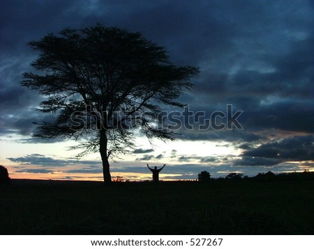 Man with arms raised under silhouetted tree