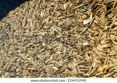 Sunflower seeds in store window close up