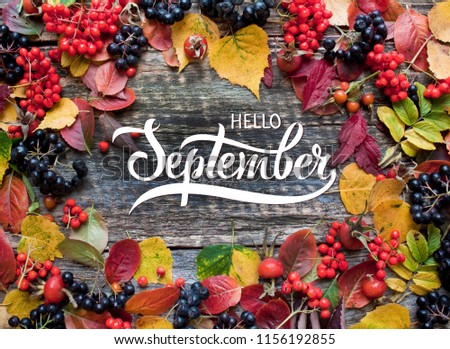 Yellow, green and red tree autumn leaves and berries frame composition on old wooden background. Nature september and october background with hand lettering Hello September.