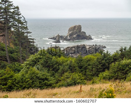 View of the Oregon Coast from Ecola State Park
