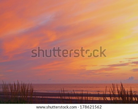 Golden and Pink Cloudy Sunset at the Beach