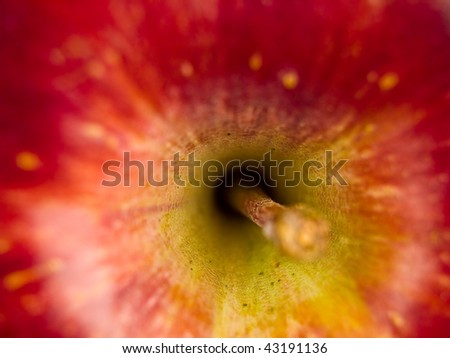 Closeup macro of an apple and stem