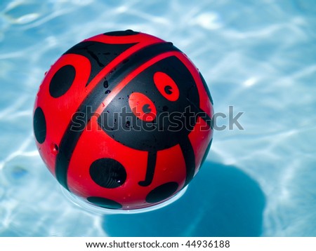 Lady bug ball in a blue swimming pool
