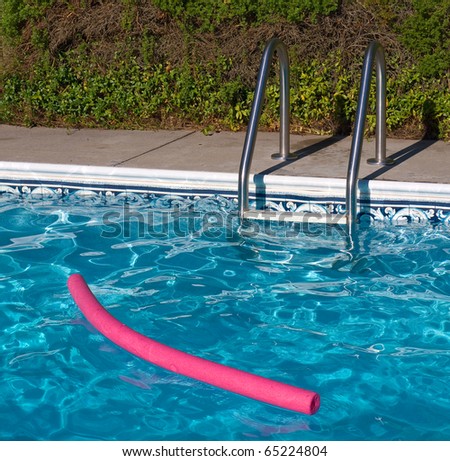 Blue Swimming Pool. Ladder, and Pink Pool Toy in Full Sunlight