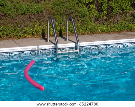 Blue Swimming Pool. Ladder, and Pink Pool Toy in Full Sunlight