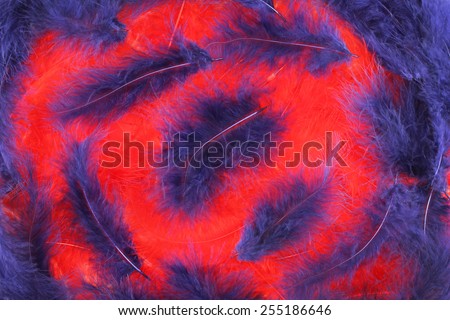 Red and blue plumes background