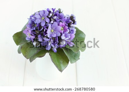 Hepatica bouquet in white jug on white painted wooden table