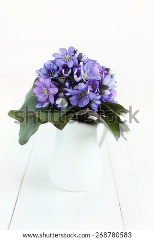 Hepatica bouquet in white jug on white painted wooden table