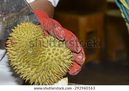 Durian lovers and aficionados would bid high price for the best organic \