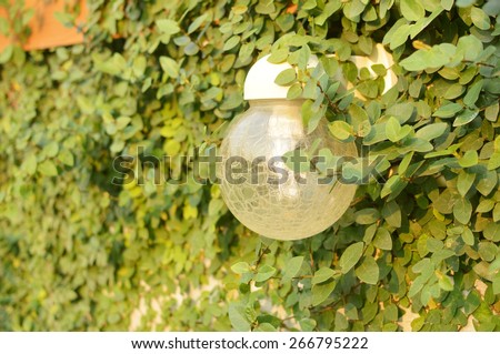 lamp in the bush with soft lighting
