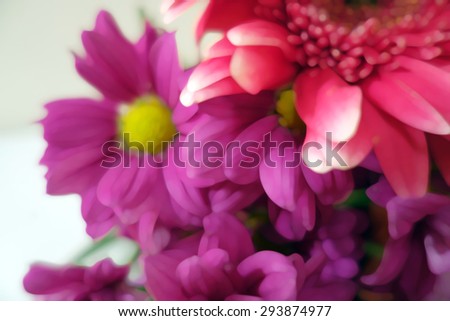 Watercolor style natural background with purple pink flowers on white background. Blur flowers composition.
