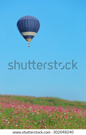 hot air balloons flying up in the sky with cosmos field.