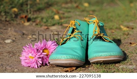 asters and shoes on the road full of leaves/asters and shoes on the road full of leaves