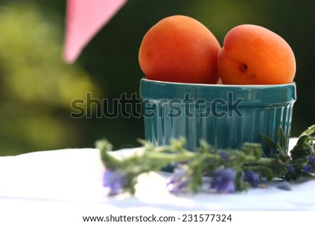 appetizing, juicy peaches in blue bowl on the table/ peaches in blue bowl
