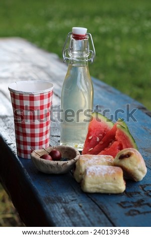 Summer picnic in the park/ Summer picnic