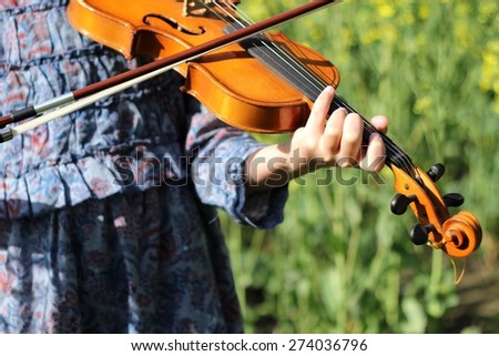 playing the violin in the field/ playing the violin in the field