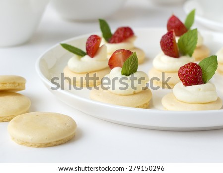Collection of small cakes with whipped cream, fruits, mint on white porcelain plate on table against background