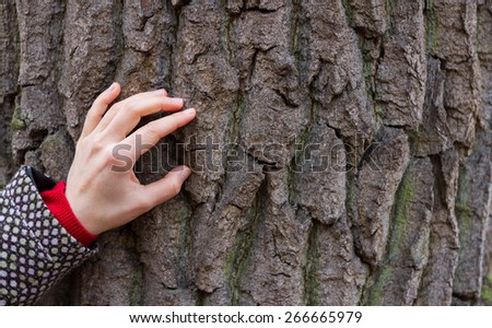 Woman hand is touching old oak tree bark. Image can be used as concept of connection with nature, relaxation, energy replenishment etc.