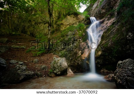 A waterfall falling into a natural pool with rocks moss and and green leaves
