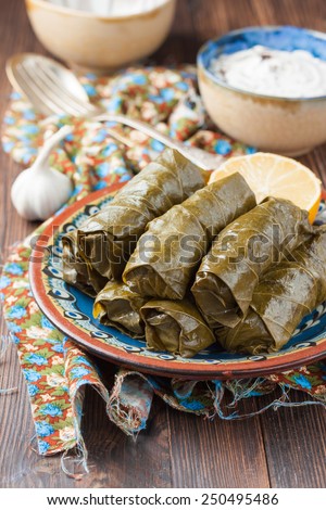 National Eastern dish dolma - vine leaves stuffed with ground beef and rice