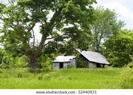 Abandoned Shed