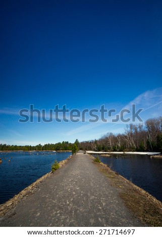 A long causeway running over wetlands disappears into its vanishing point toward the distant forest tree-line.