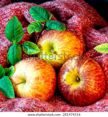 fuji apple on red burlap fabric with green leaf