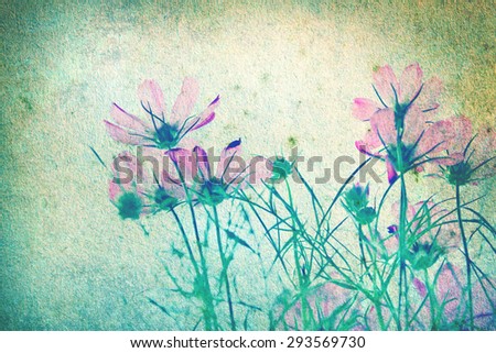 Abstract retro background from Cosmos flowers filtered by grunge texture