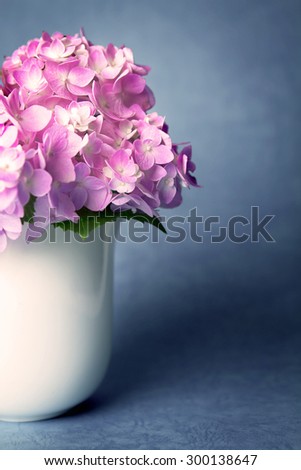 sweet  hydrangea flowers in white vase