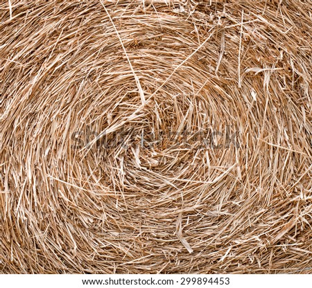 the circle roll of rice straw