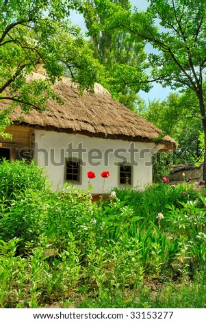 old house with thatsch roof in garden