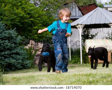 Blond child and couple of black dogs Riesenschnauzer with blue ball  playing at green lawn close to house, summer day