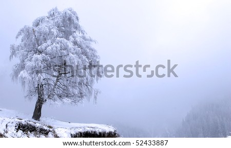 Winter Solitude tree