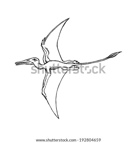 Hand Drawn Vector Sketch Illustration Of Pterodactyl 192804659