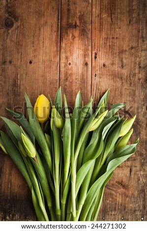 tulips wooden backround copy space easter 8 march easter tulip   mother day father day