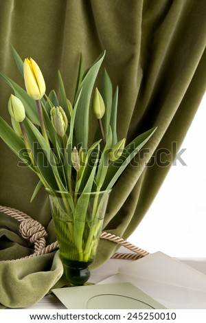 yellow green tulips parrot, home decor, copy space, green velvet, easter, mother day, father day