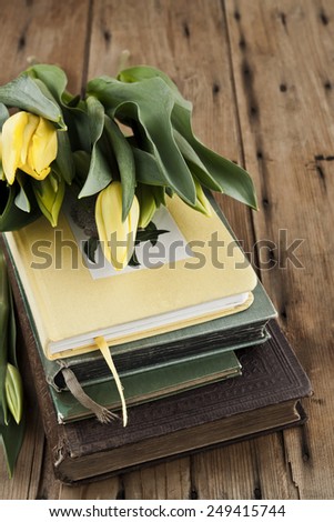 yellow tulip, old book historic literature, spring easter, roostic backround