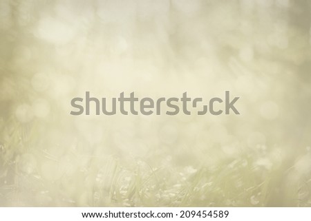 pale, green abstract springtime and fresh background grass and g